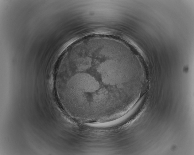 X0000101090829200807031724