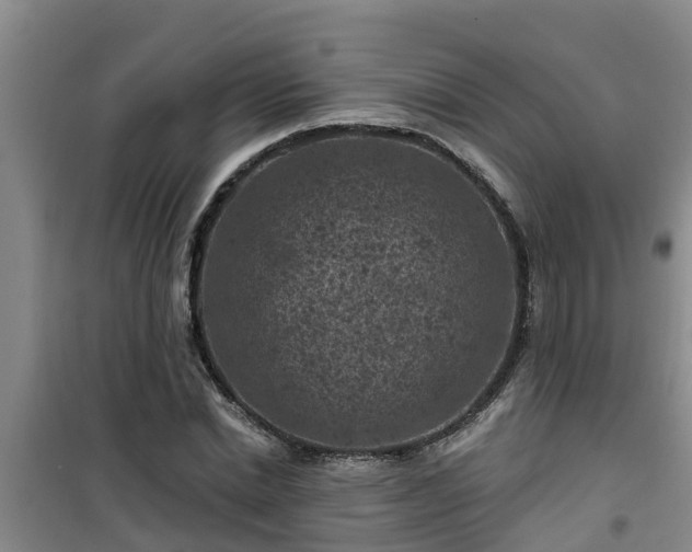 X0000101090830200807031724