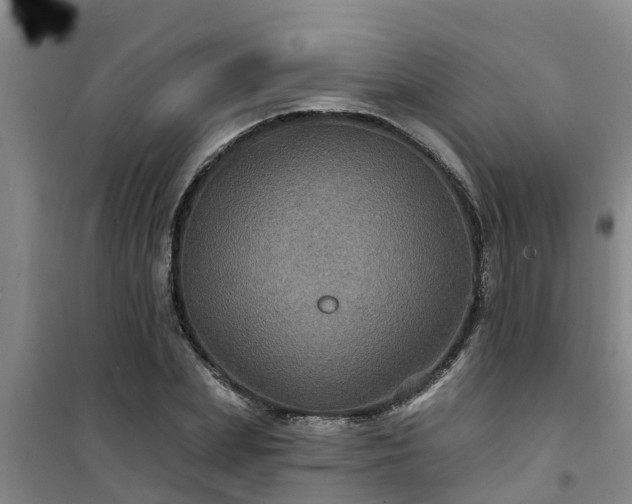 X0000101090831200807031724