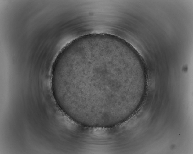 X0000101090832200807031724