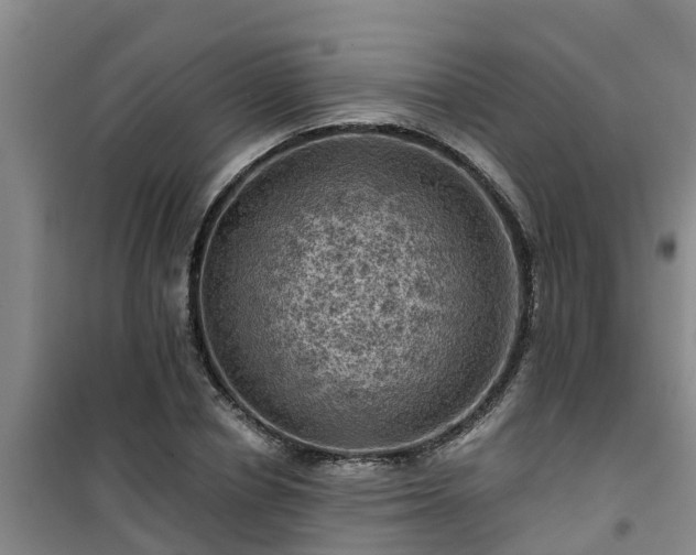 X0000101090834200807031724