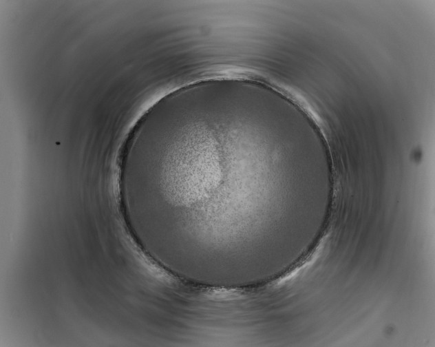 X0000101090835200807031724