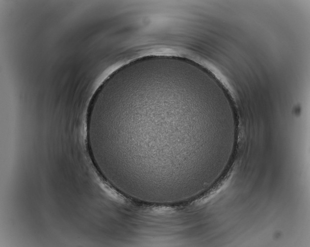 X0000101090837200807031724