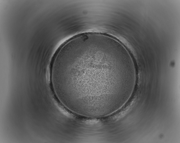 X0000101090838200807031724