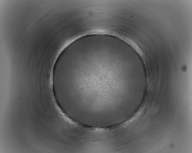 X0000101090839200807031724