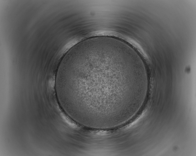 X0000101090841200807031724