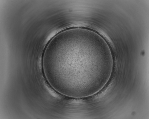 X0000101090842200807031724