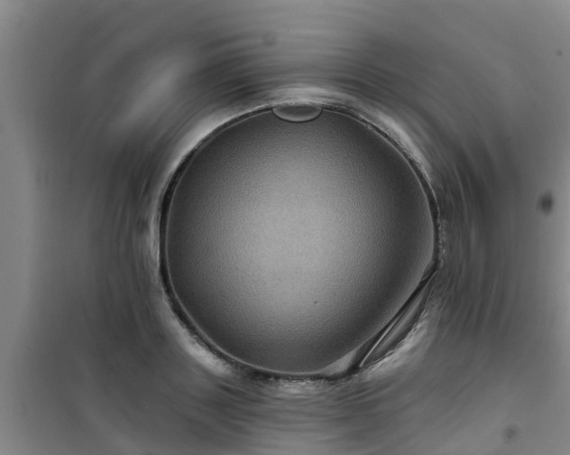 X0000101090843200807031724