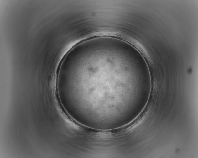 X0000101090844200807031724