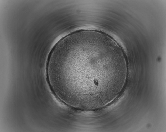 X0000101090845200807031724