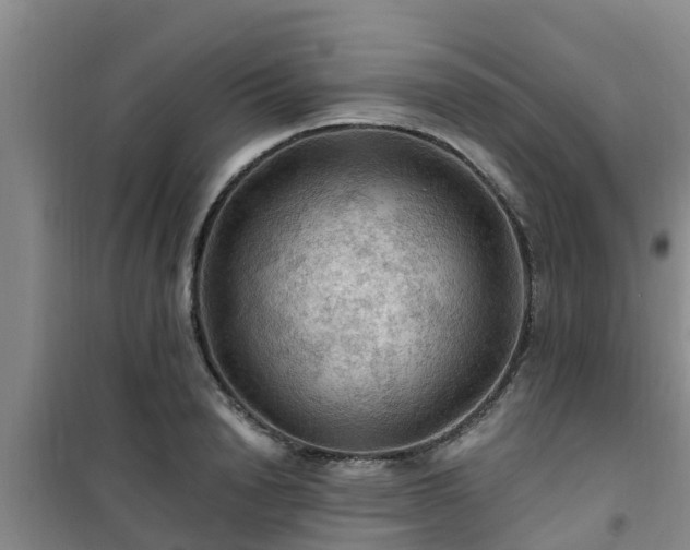 X0000101090846200807031724