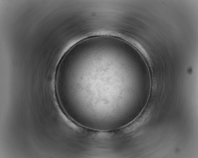 X0000101090847200807031724