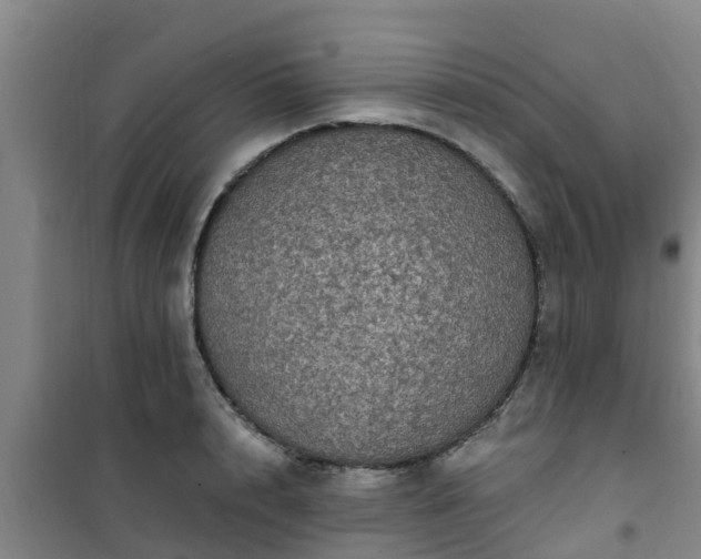 X0000101090848200807031724