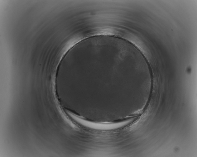 X0000101090850200807031725