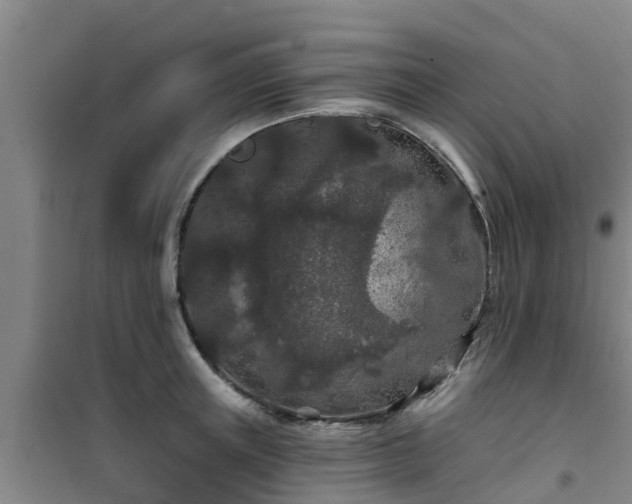 X0000101090851200807031725