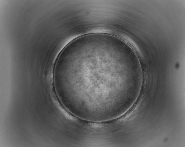 X0000101090852200807031725