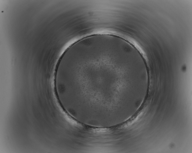 X0000101090853200807031725