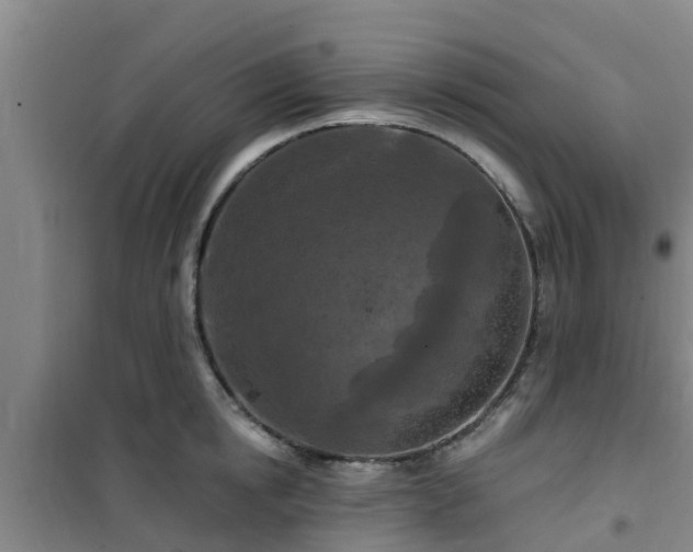 X0000101090854200807031725