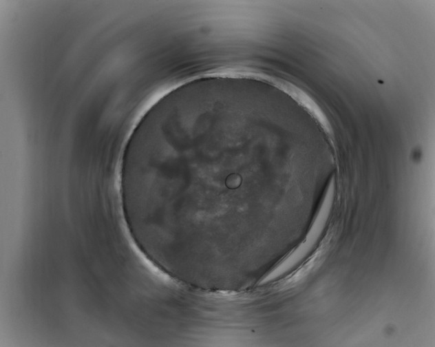 X0000101090855200807031725