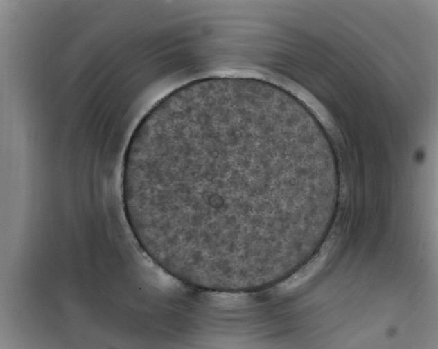 X0000101090856200807031725