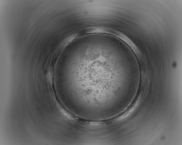 X0000101090857200807031725