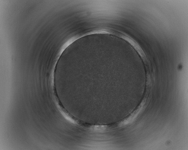 X0000101090858200807031725