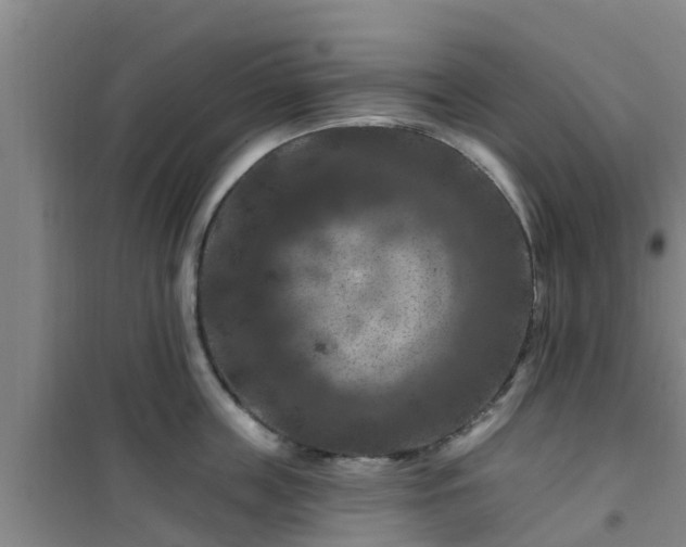 X0000101090859200807031725