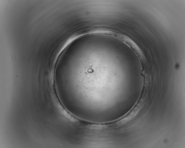 X0000101090860200807031725