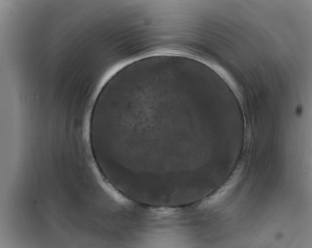 X0000101090862200807031725