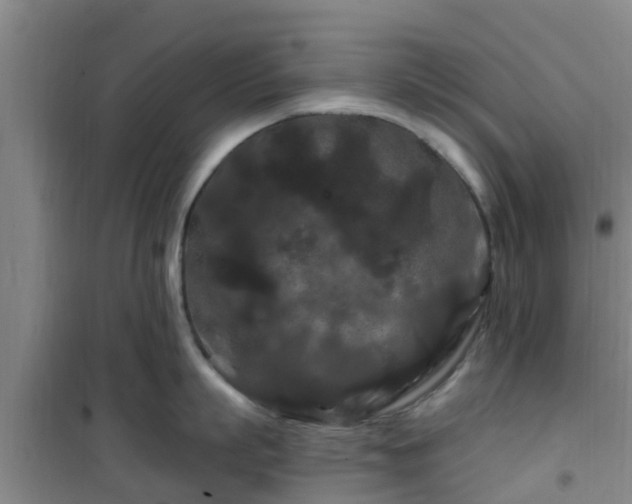 X0000101090863200807031725