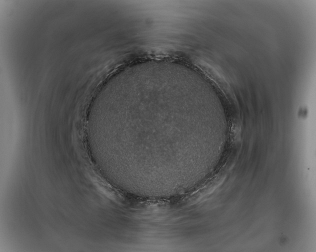 X0000101090865200807031724