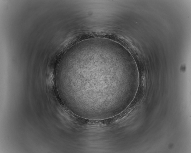 X0000101090866200807031724