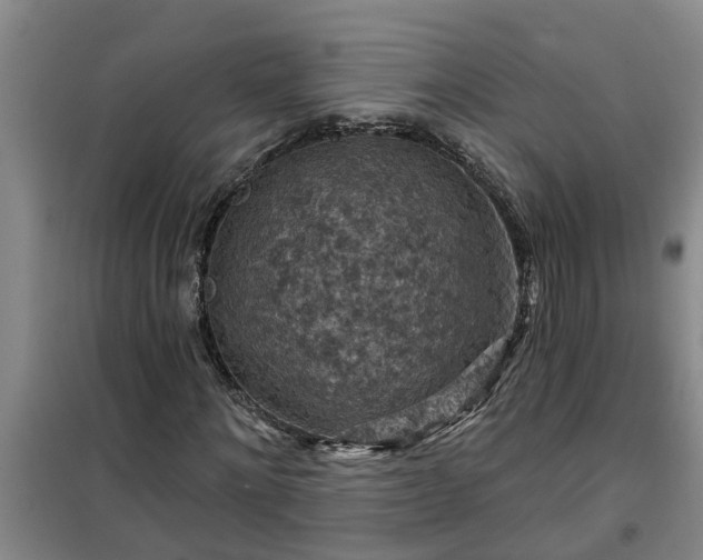 X0000101090868200807031724