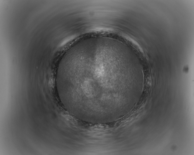 X0000101090869200807031724