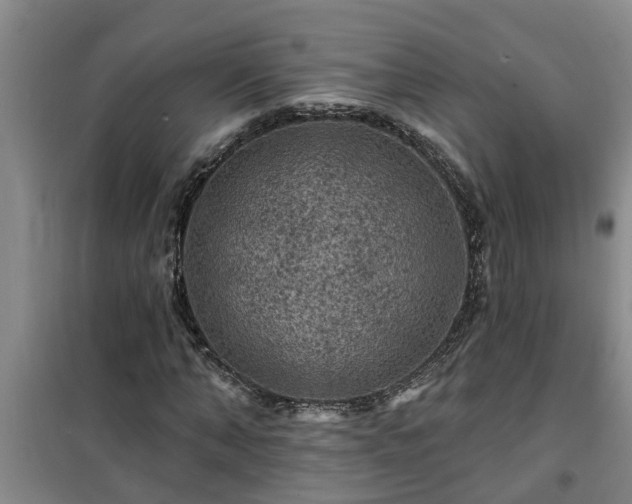 X0000101090870200807031724