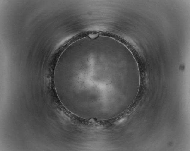 X0000101090872200807031724