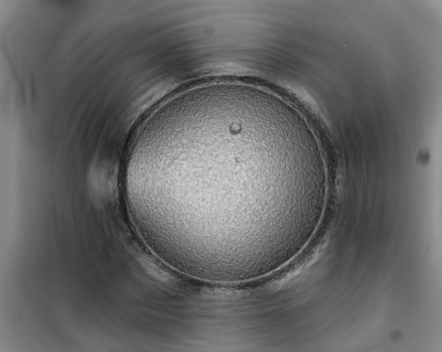 X0000101090873200807031724