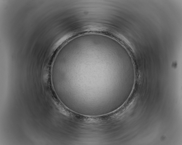 X0000101090874200807031724