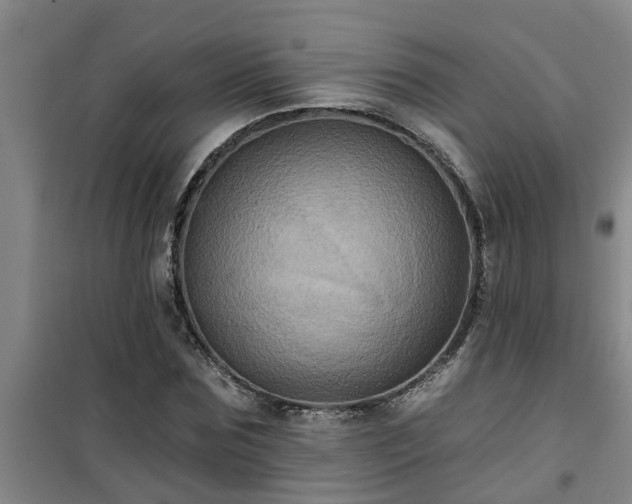 X0000101090875200807031724