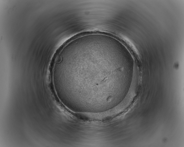 X0000101090876200807031724