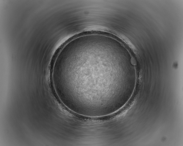 X0000101090877200807031724