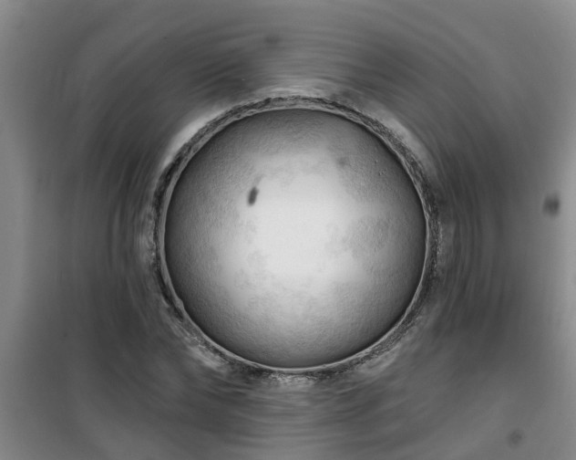 X0000101090878200807031724