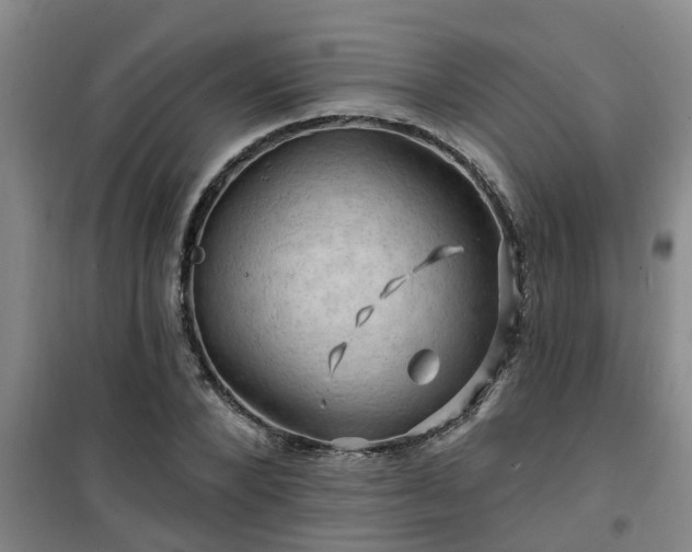 X0000101090880200807031724