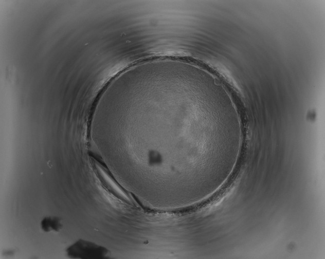 X0000101090881200807031724