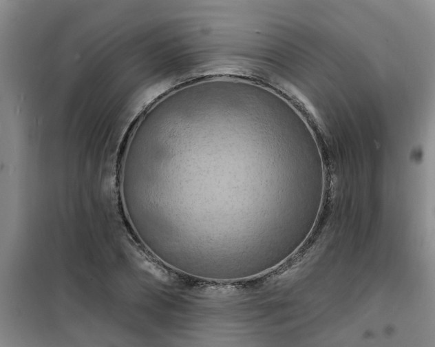 X0000101090882200807031724