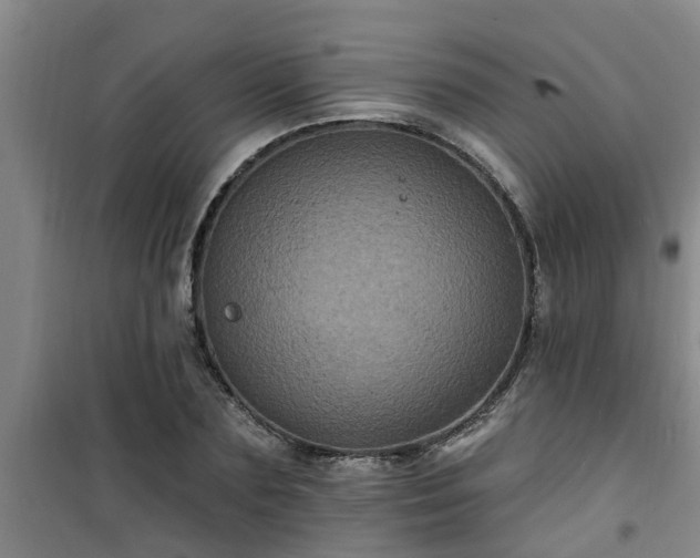 X0000101090883200807031724