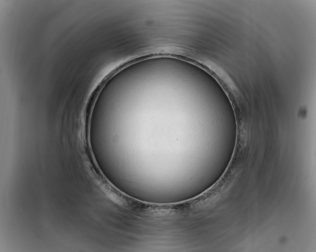 X0000101090886200807031724