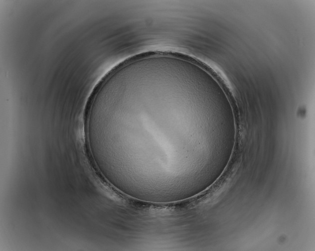 X0000101090887200807031724