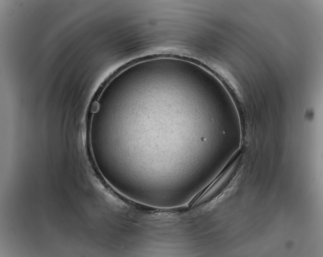 X0000101090888200807031724