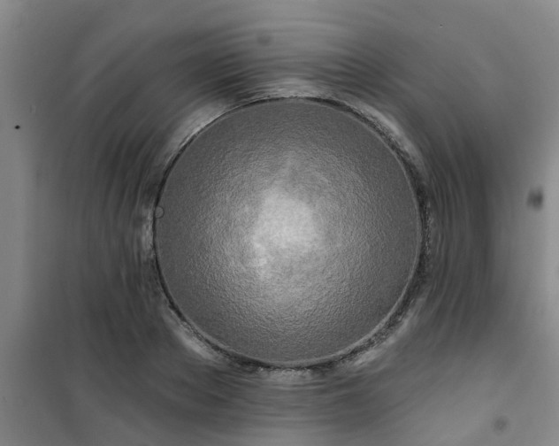 X0000101090889200807031724